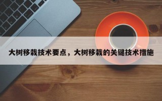 大树移栽技术要点，大树移栽的关键技术措施