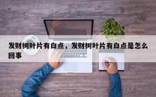 发财树叶片有白点，发财树叶片有白点是怎么回事