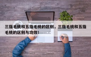 三指毛桃和五指毛桃的区别，三指毛桃和五指毛桃的区别与功效！