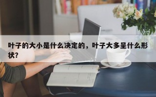 叶子的大小是什么决定的，叶子大多呈什么形状？