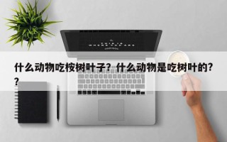什么动物吃桉树叶子？什么动物是吃树叶的?？