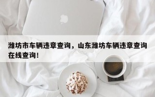 潍坊市车辆违章查询，山东潍坊车辆违章查询在线查询！