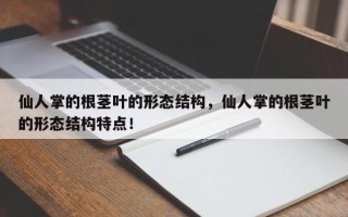 仙人掌的根茎叶的形态结构，仙人掌的根茎叶的形态结构特点！