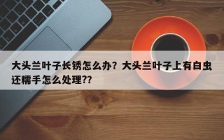 大头兰叶子长锈怎么办？大头兰叶子上有白虫还糯手怎么处理?？