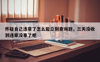 怀疑自己违章了怎么能立刻查询到，三天没收到违章没事了吧
