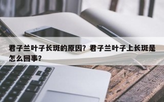 君子兰叶子长斑的原因？君子兰叶子上长斑是怎么回事？