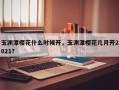 玉渊潭樱花什么时候开，玉渊潭樱花几月开2021？