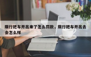 限行把车开出来了怎么罚款，限行把车开出去会怎么样
