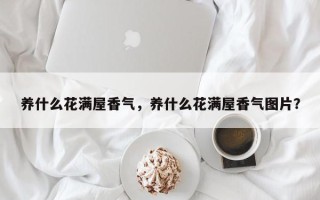 养什么花满屋香气，养什么花满屋香气图片？