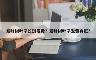 发财树叶子长斑发黄？发财树叶子发黄有斑？