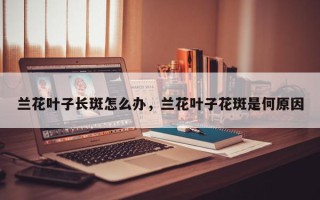 兰花叶子长斑怎么办，兰花叶子花斑是何原因