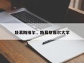 路易斯维尔，路易斯维尔大学