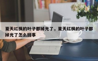 夏天红枫的叶子都掉光了，夏天红枫的叶子都掉光了怎么回事
