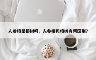 人参榕是榕树吗，人参榕和榕树有何区别？