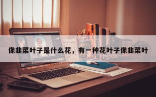 像韭菜叶子是什么花，有一种花叶子像韭菜叶