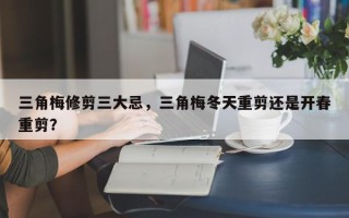 三角梅修剪三大忌，三角梅冬天重剪还是开春重剪？