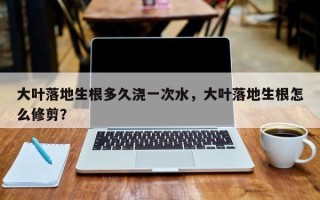 大叶落地生根多久浇一次水，大叶落地生根怎么修剪？