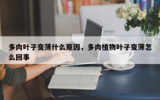 多肉叶子变薄什么原因，多肉植物叶子变薄怎么回事