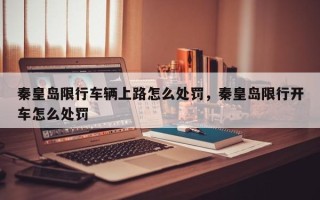 秦皇岛限行车辆上路怎么处罚，秦皇岛限行开车怎么处罚