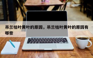 吊兰枯叶黄叶的原因，吊兰枯叶黄叶的原因有哪些