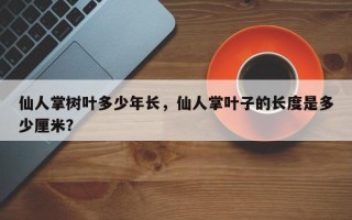 仙人掌树叶多少年长，仙人掌叶子的长度是多少厘米？