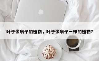 叶子像扇子的植物，叶子像扇子一样的植物？