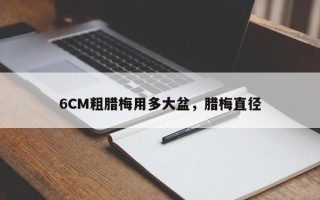 6CM粗腊梅用多大盆，腊梅直径
