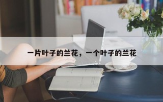 一片叶子的兰花，一个叶子的兰花