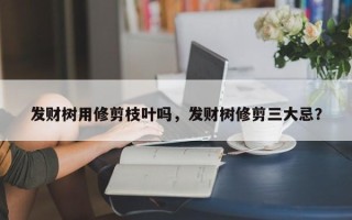 发财树用修剪枝叶吗，发财树修剪三大忌？