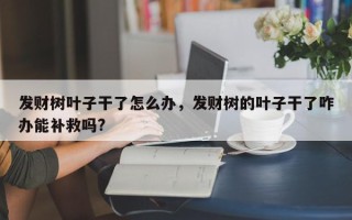 发财树叶子干了怎么办，发财树的叶子干了咋办能补救吗?