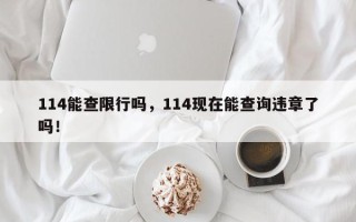 114能查限行吗，114现在能查询违章了吗！