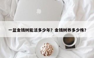 一盆金钱树能活多少年？金钱树养多少株？