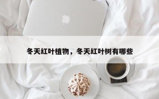 冬天红叶植物，冬天红叶树有哪些