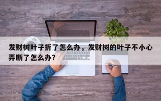 发财树叶子折了怎么办，发财树的叶子不小心弄断了怎么办？