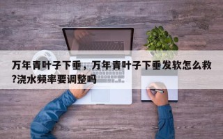 万年青叶子下垂，万年青叶子下垂发软怎么救?浇水频率要调整吗