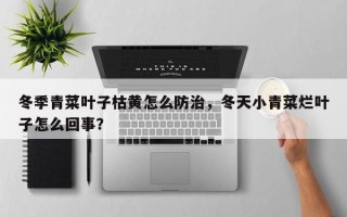 冬季青菜叶子枯黄怎么防治，冬天小青菜烂叶子怎么回事？