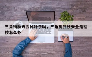三角梅秋天会掉叶子吗，三角梅到秋天全是枯枝怎么办