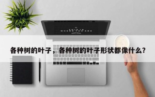 各种树的叶子，各种树的叶子形状都像什么？