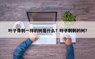 叶子像刺一样的树是什么？叶子刺刺的树？