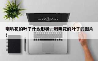 喇叭花的叶子什么形状，喇叭花的叶子的图片！