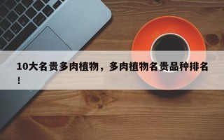 10大名贵多肉植物，多肉植物名贵品种排名！