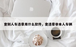 查别人车违章用什么软件，查违章非本人车辆