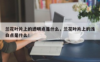 兰花叶片上的透明点是什么，兰花叶片上的浅白点是什么！