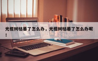 光棍树枯萎了怎么办，光棍树枯萎了怎么办呢！