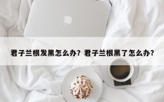 君子兰根发黑怎么办？君子兰根黑了怎么办？