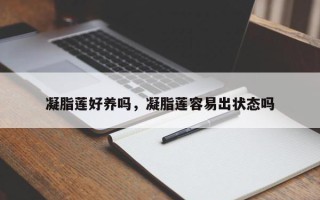 凝脂莲好养吗，凝脂莲容易出状态吗