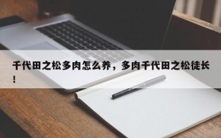 千代田之松多肉怎么养，多肉千代田之松徒长！