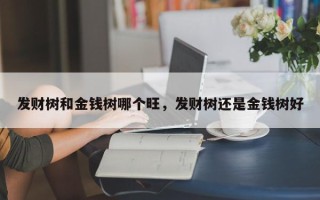 发财树和金钱树哪个旺，发财树还是金钱树好