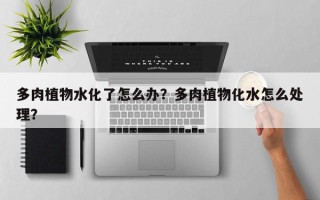 多肉植物水化了怎么办？多肉植物化水怎么处理？