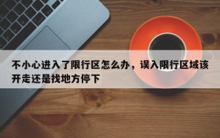 不小心进入了限行区怎么办，误入限行区域该开走还是找地方停下